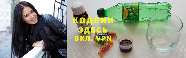 прущие грибы Дмитров