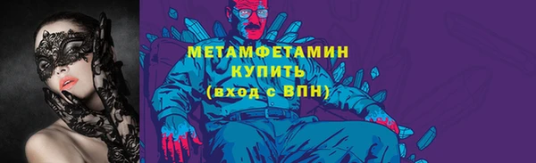 прущие грибы Дмитров