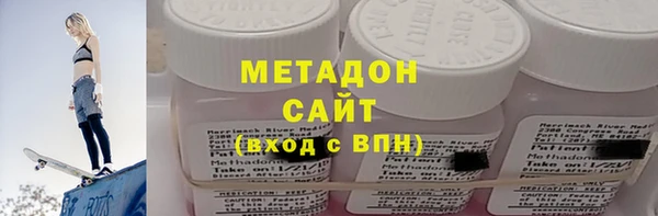 прущие грибы Дмитров