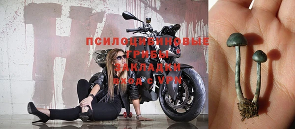 гидра Дмитриев