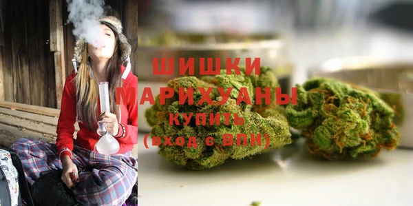 прущие грибы Дмитров