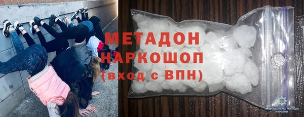 прущие грибы Дмитров