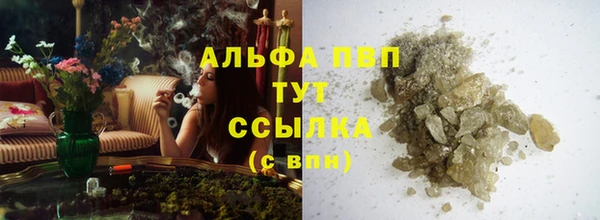 прущие грибы Дмитров