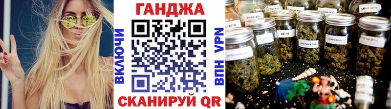 Бошки марихуана сатива  Купить закладки  Гурьевск 